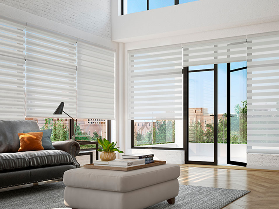 Featured image of zebra blinds- Maple article of zebra blind in Belleville and Quinte West.